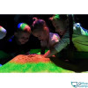 Интерактивная песочница-стол Домик